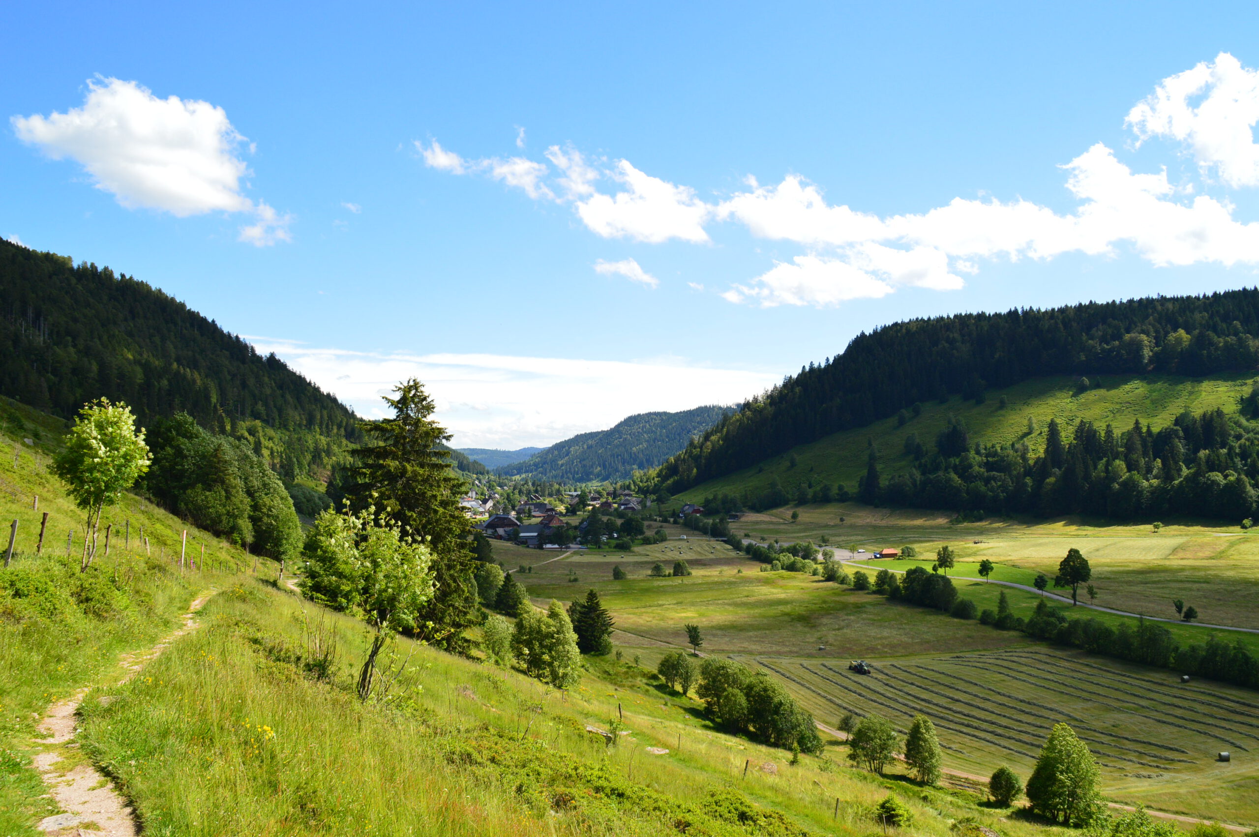 Schwarzwald Fasten Wandern Hotel Silberfelsen